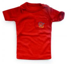 BABY-019 T-shirt  leeuw  1j