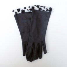 Handschoenen (NOS)
