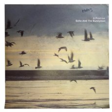S-84 Echo And The Bunnymen